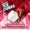 image:imageICE BREAKERS Cinnamon SugarFree Gum Pouch 811 oz 100 ctCinnamon