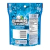 image:imageICE BREAKERS Peppermint SugarFree Gum Pouch 811 oz 100 ctPeppermint