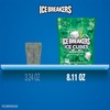 image:imageICE BREAKERS Spearmint SugarFree Gum Pouch 811 oz 100 ctSpearmint