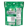 image:imageICE BREAKERS Spearmint SugarFree Gum Pouch 811 oz 100 ctSpearmint