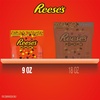 image:imageREESES PIECES Peanut Butter in a Crunchy Shell Candy Bag 9 ozPeanut Butter