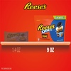 image:imageReeses OREO Miniature Cups Peanut Butter Chocolate Candy 9 ozPeanut Butter