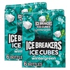 image:imageICE BREAKERS Wintergreen SugarFree Gum Bottles 324 oz 6 ct40 Count Pack of 12