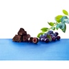 image:imageBrookside Dark Chocolate Acai and Blueberry Flavored Snacking Chocolate Bag 7 Ounce
